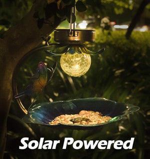 Solar Sparkle Sphere Bird Feeder-1