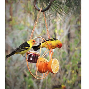 Outdoor Oasis Bird Haven: Vibrant Orange Bird Feeder And Water Station-4