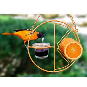 Outdoor Oasis Bird Haven: Vibrant Orange Bird Feeder And Water Station-3