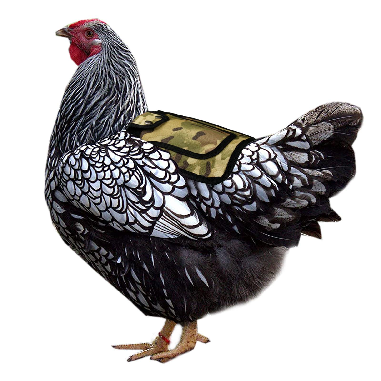 Featherguard Adjustable Chicken Saddle-3