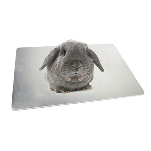 Cool Paws Aluminum Pet Cooling Plate - Beat The Heat For Your Furry Friends!-0