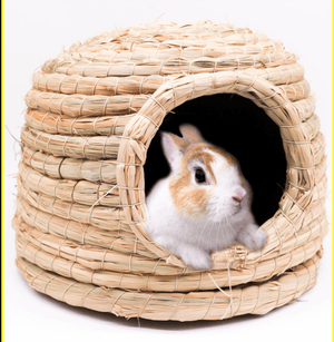 Cozy Critter Castle - Warm Winter Hamster Nest And Hedgehog House-0