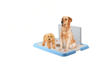 Dog Toilet Puppy Dog Supplies Teddy Dog Urinal Potty Golden Hair Puppies-3