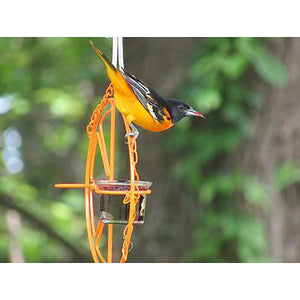 Metallic Songbird Delight Bird Feeder-2