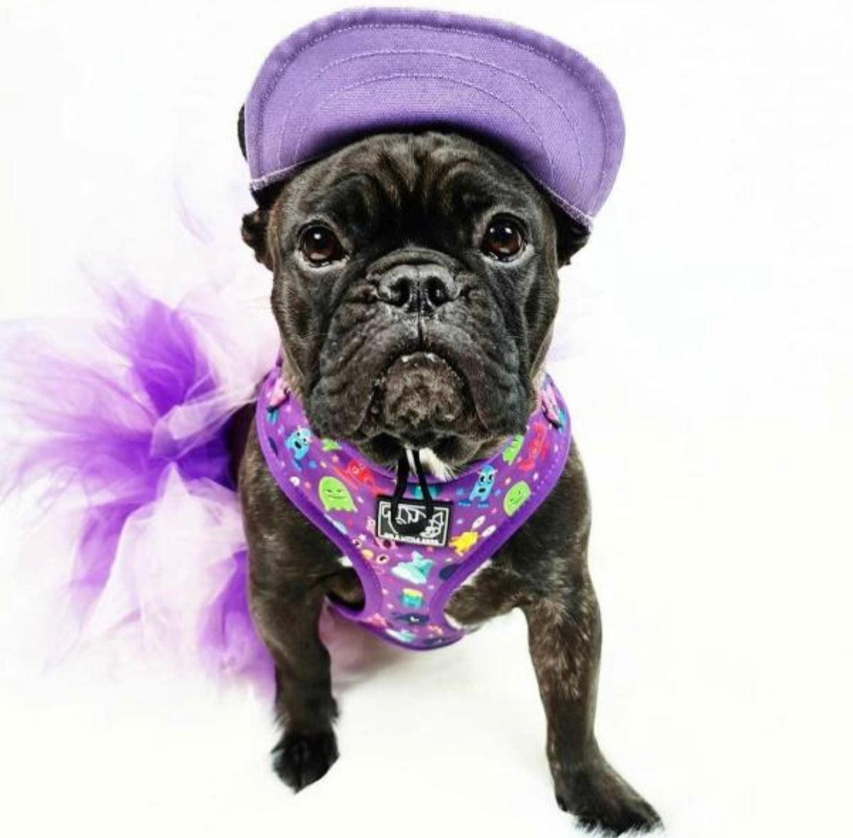 Pets Cap Purple-2