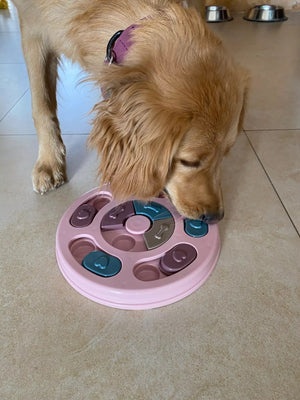 New Interactive Toy IQ Training Pets Slow Feeder Bowl Puzzle Eating Toys for Dogs and Cats-4