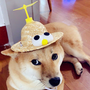 Sunflower Hat for pets-2