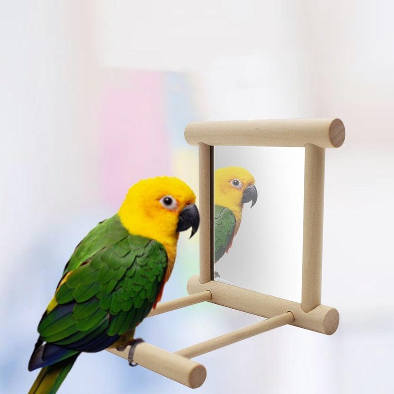 Curious Avian Reflection Stand-4