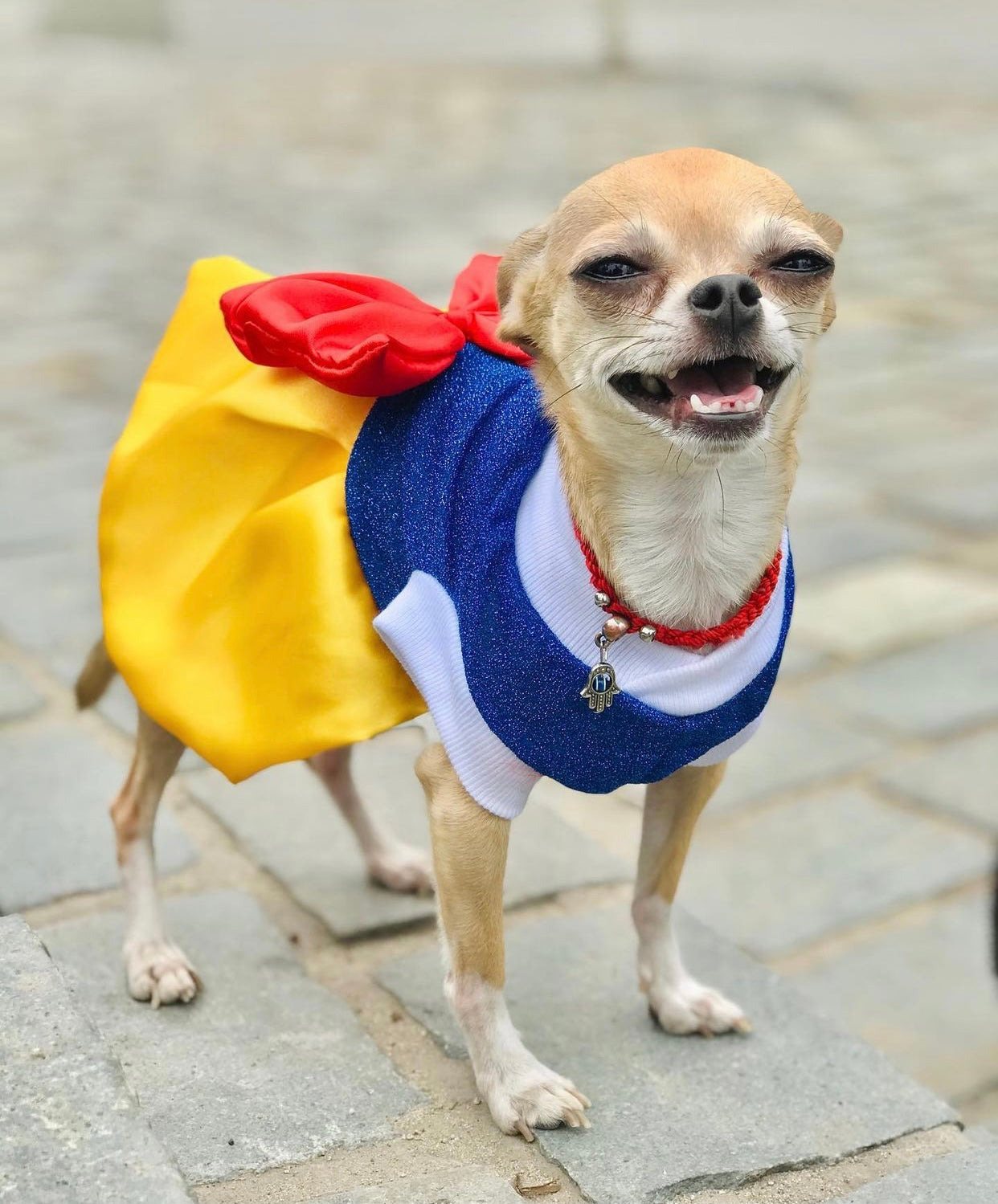 Snow White Pets Costume-0