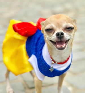 Snow White Pets Costume-1