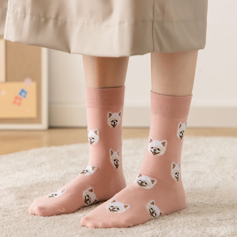 Pawsome Socks #9-1