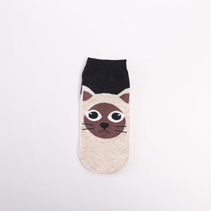 Pawsome Socks #2-1