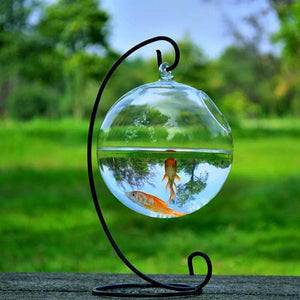 Mini Glass Ball Fish Tank With Hanging Bracket-2