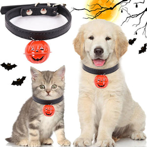 Halloween Collars for pets-0