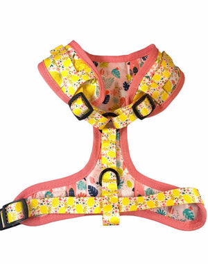 ADJUSTABLE HARNESS - OH MY LEMON-1