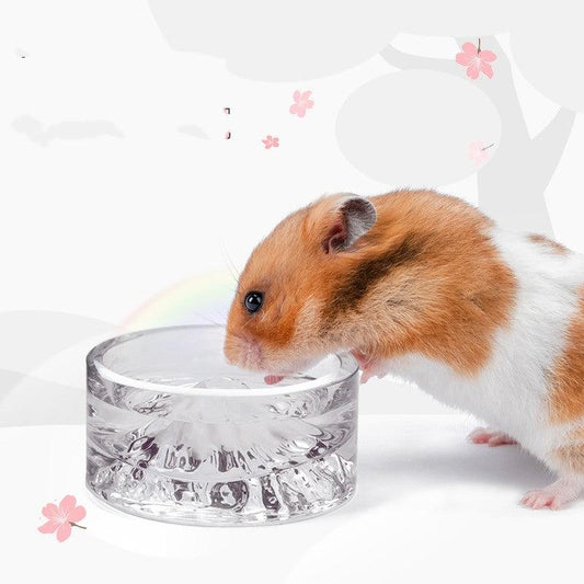 Golden Bear Glass Water Bowl - The Perfect Anti-Lifting Solution For Your Hamster-0