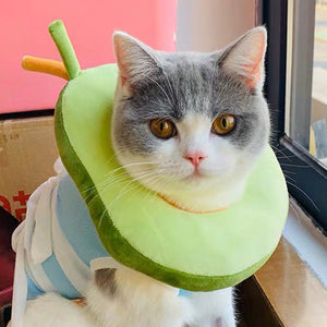 After surgery Anti bite Avocado Collar for pets-2