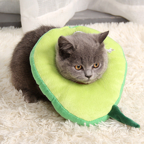 After surgery Anti bite Avocado Collar for pets-1