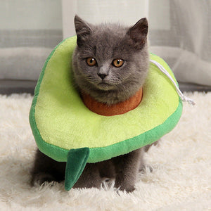 After surgery Anti bite Avocado Collar for pets-0