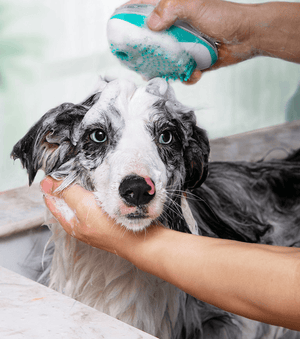 The Luxepaws Spagroom: 2-In-1 Pet Bath Massage Comb-0