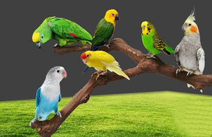 Natural Vine Parrot Bird Cage Stand Pole-2