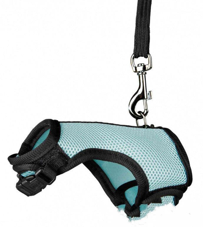 Pet Pawsome Nylon Leash: The Perfect Traction Belt For Small Fur Babies!-2