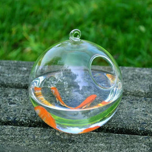 Mini Glass Ball Fish Tank With Hanging Bracket-3