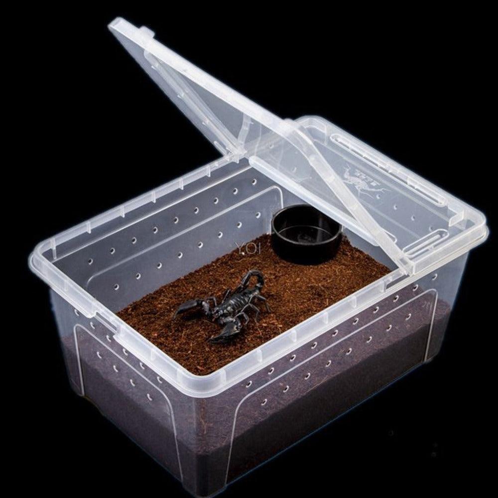 Transparent Reptile Haven: The Perfect Enclosure For Your Cold-Blooded Companions-3