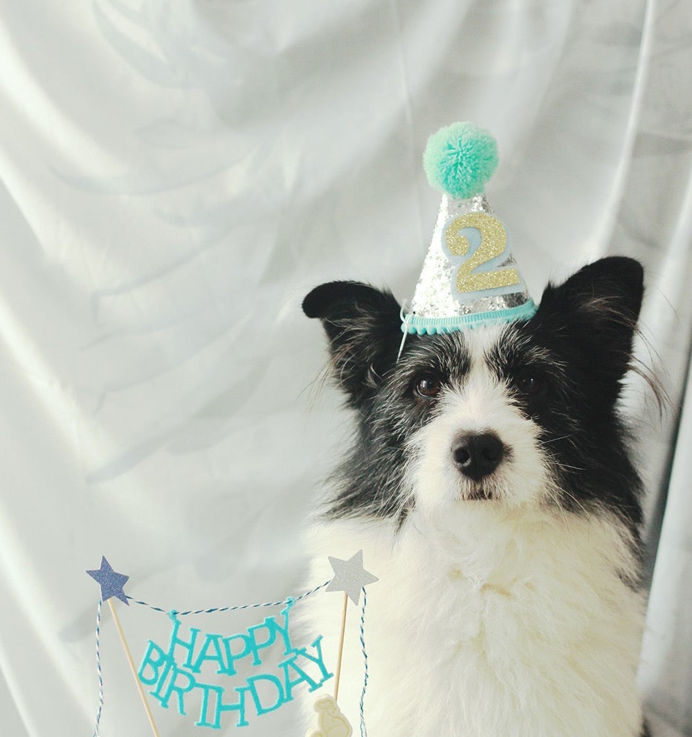 Christmas Hat or birthday hat for pets-0