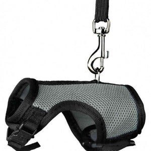 Pet Pawsome Nylon Leash: The Perfect Traction Belt For Small Fur Babies!-5