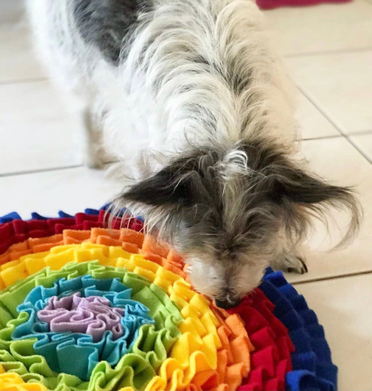 Pets Puzzle Toys Increase IQ Snuffle Mat-Rainbow Love-0