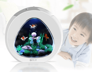 The Aquavista Desktop Fish Tank Aquarium-8