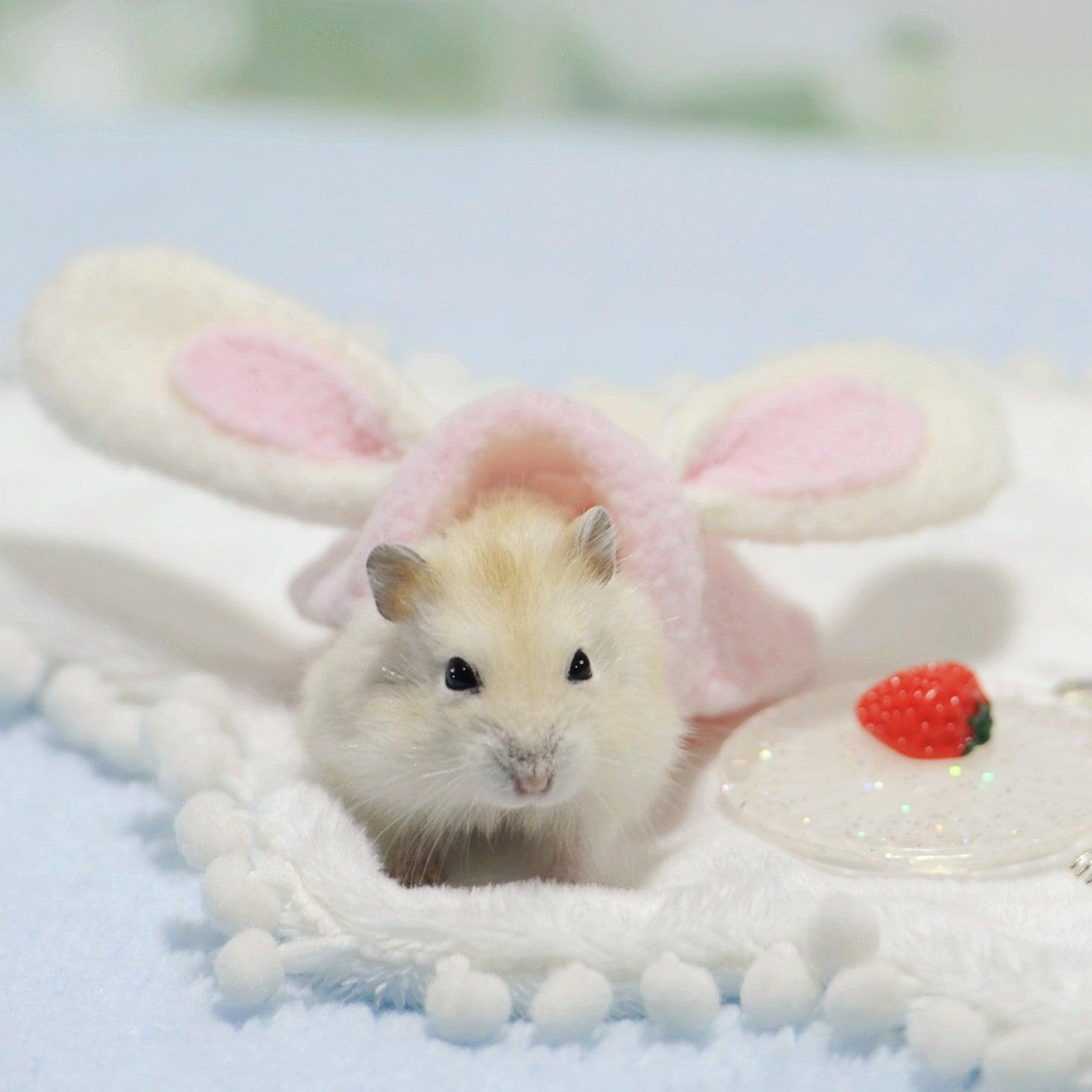 Cozy Critter Costumes For Your Adorable Hamster-5