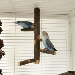 Simple And Stylish Apple Wood Parrot Bird Stand-3