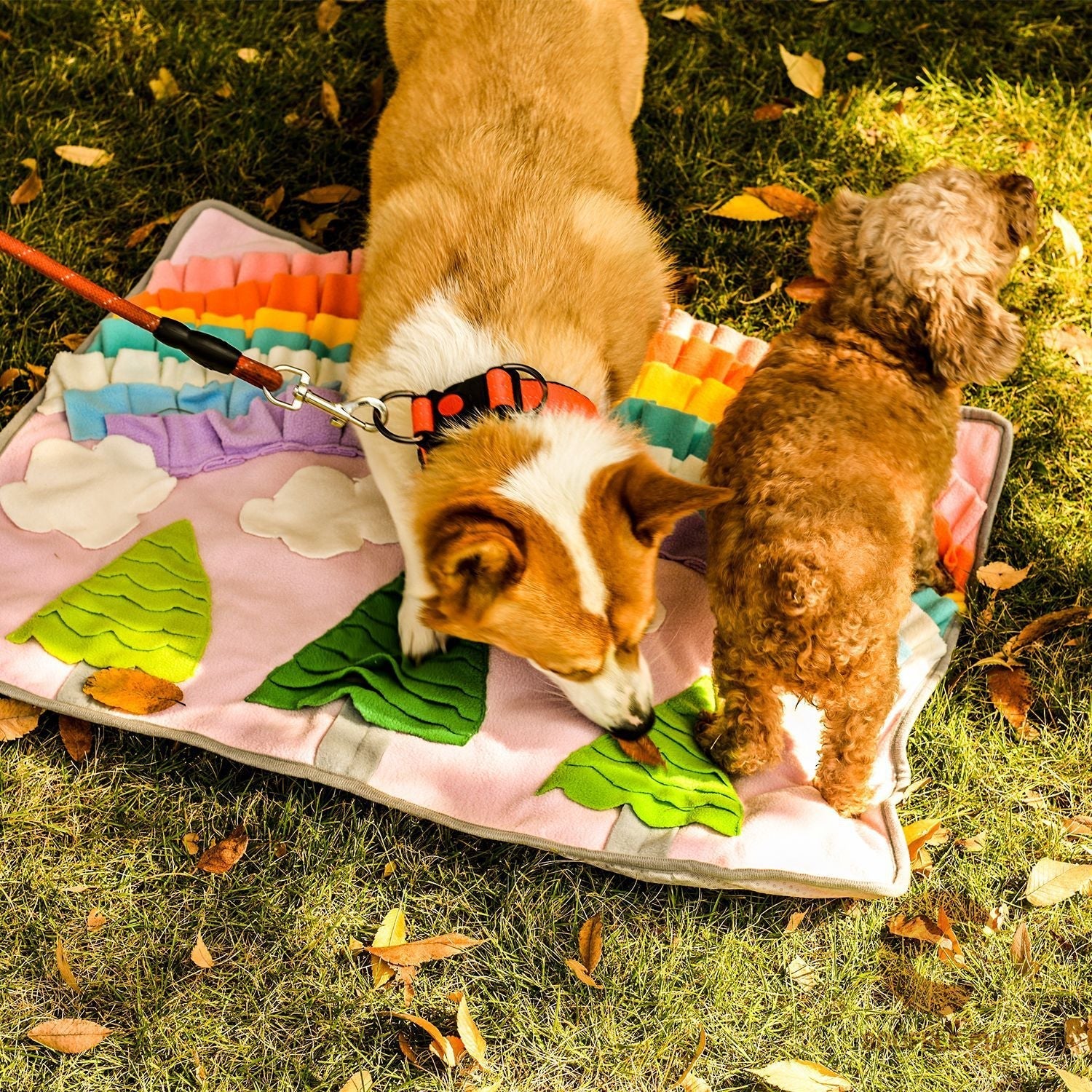 Pets Puzzle Toys Snuffle Mat-Rainbow with Trees-0