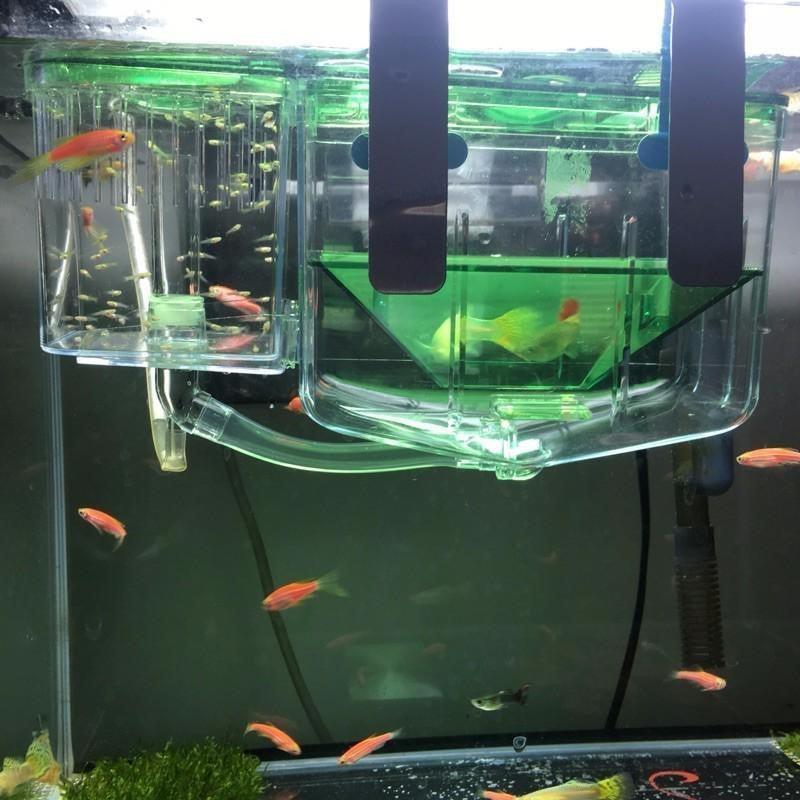 Double Layer Floating Fish Breeding Box-0