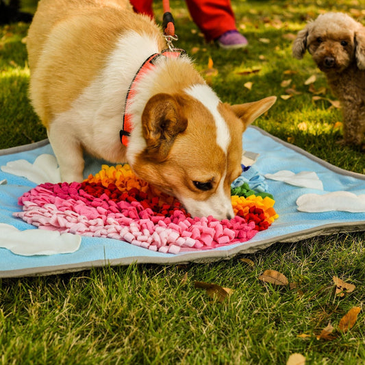 Pets Puzzle Toys Snuffle Mat-Hot Air Balloon-0