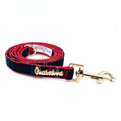 Carnegie leash