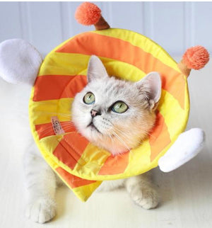 Cute Soft Cat Cone-0