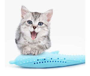 Interactive Cat Toothbrush-0