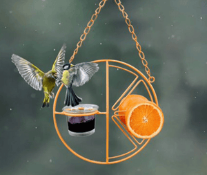 Deluxe Metal Swing Bird Feeder-1