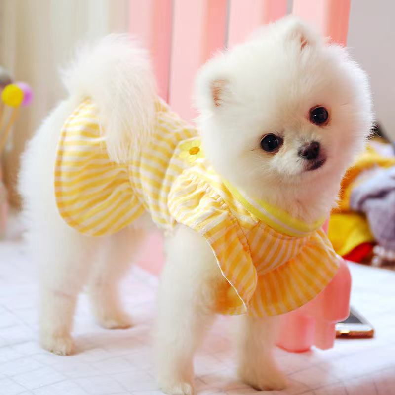 Sunflower Elegant Dress Beautiful Princess Dress for Pets Party Wear-0