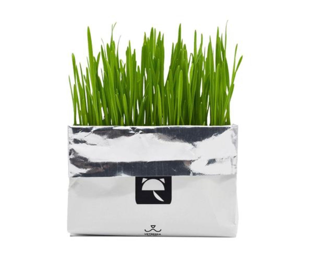 [SALE] All-In-One Cat Grass Kit-1