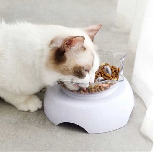 Orthopedic Cat Bowl & Slow Feeder 2-in-1 [Anti-Vomiting]-0