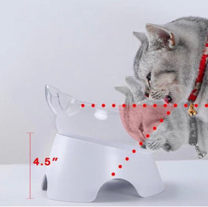 Orthopedic Cat Bowl & Slow Feeder 2-in-1 [Anti-Vomiting]-1