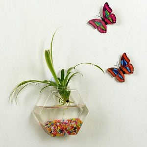 Geometric Glass Hanging Fish Tank-3