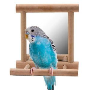 Curious Avian Reflection Stand-3