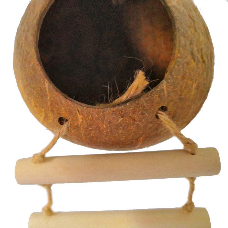 Coconut Shell Paradise Bird Nest-6