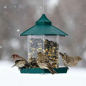 Weatherproof Avian Feeder Box-4