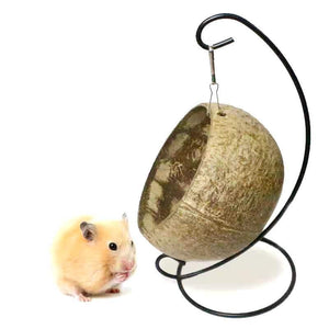 Golden Bear Coconut Shell Hanging Nest For Hamsters And Guinea Pigs-0